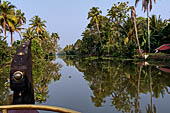 Kerala backwaters, our three hours neighborhood tour in the narrow canoe towards Vembanad Lake and along one of the  narrow canal running near our guest house at Kumarakom. 